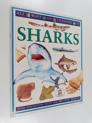 Flick Killerby : Sharks