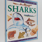 Flick Killerby : Sharks - pikkukuva 1