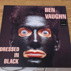 Ben Vaughn LP - pikkukuva 1