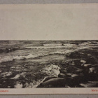 Walamo: Rantamaisema *** (1874) - pikkukuva 1