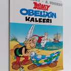 Rene Goscinny ym. : Obelixin kaleeri - pikkukuva 1