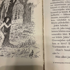 Eleanor Clymer – Intiaanipoika Oravanjalka - pikkukuva 5