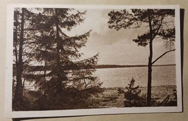 Helsinki, Munkkiniemi, iltamaisema, mv pk, ei p.