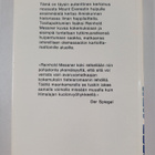 Reinhold Messner : Huipulle - pikkukuva 2