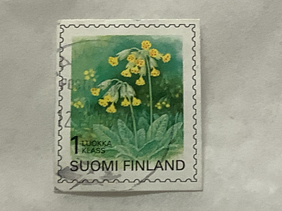 1472/ 1999 Kevätesikko o leimattu loisto