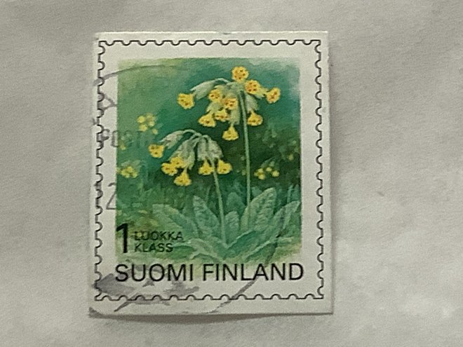 1472/ 1999 Kevätesikko o leimattu loisto
