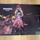 Poison juliste ja Bret Michaels juliste - pikkukuva 1