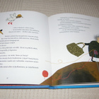 Nopola - Bondestam Simo, Sonia ja ujo mummo - pikkukuva 2