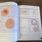 An Atlas Of Chronic Obstructive Pulmonary Disease - pikkukuva 5