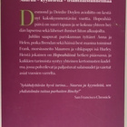 MAEVE BINCHY: HOPEAHÄÄT - pikkukuva 2