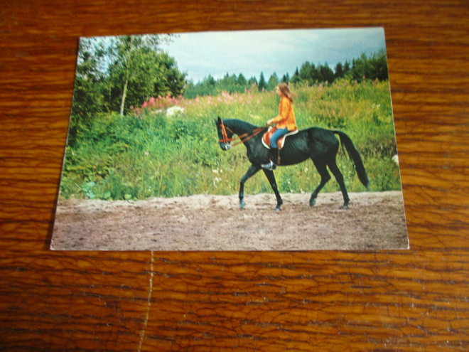 ratsastus pk tyttö maastoratsastuksella kulkematon