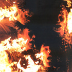 KING GIZZARD AND THE LIZARD WIZARD ~ Infest The Rats' N ~ LP - pikkukuva 4