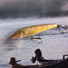 Rapala CD-9 - pikkukuva 2