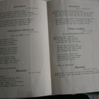 Kiitosjumalanpalvelus Nikolainkirkossa 22.2.1916 + virret - pikkukuva 2