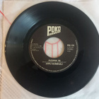 Single EPPU NORMAALI - VUONNA ´85 / ... - pikkukuva 1