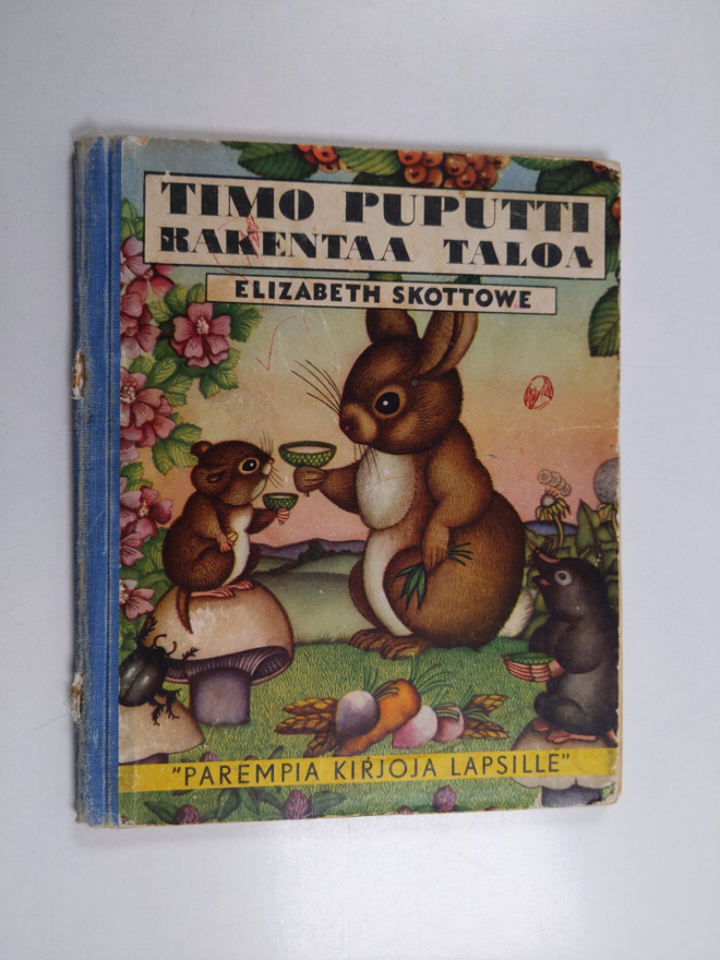 Elisabeth Skottowe : Timo puputti rakentaa taloa