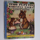 Elisabeth Skottowe : Timo puputti rakentaa taloa - pikkukuva 1