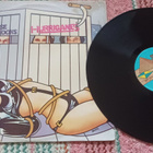 Hurriganes LP Use No Hooks Sonet - pikkukuva 1