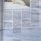 Suomen Luonto n:o 10 1992 Varpunen. Varsinais-Suomi. Lumikko - pikkukuva 2