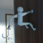 Seinänaulakko - pikkukuva 1