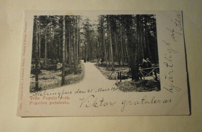 Viipuri, Papulan puistoa, silta, jalankulkijoita, p. 1909