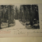 Viipuri, Papulan puistoa, silta, jalankulkijoita, p. 1909 - pikkukuva 1