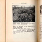 Kärsimysten teiltä: Kymmenvuotismuistoja (1.p.,1928) - pikkukuva 2