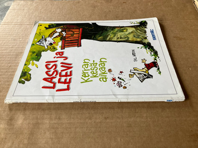 LASSI JA LEEVI KERRAN KESÄAIKAAN