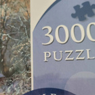 uusi palapeli 3000 palaa - pikkukuva 2