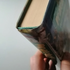 Pratchett, Terry: Discworld: Vartiosto 3: Pojat urhokkaat - pikkukuva 3
