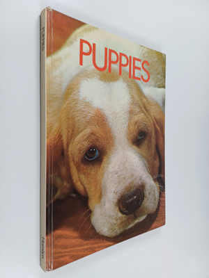 Wendy Boorer : Puppies