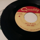 Chuck Berry sinkku - pikkukuva 1