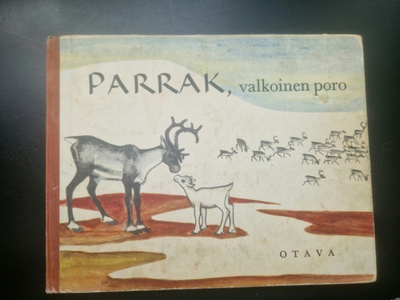 PARRAK, valkoinen poro. Harvinainen