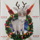 REINDEER SPOTTING - PAKO JOULUMAASTA DVD - pikkukuva 1