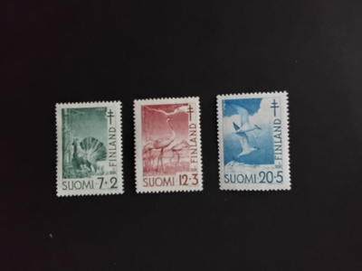 1951 tub lintuja**
