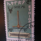 Etiopia 1982: sarvetöitä - pikkukuva 4