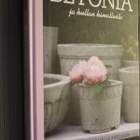 Nilsson & Arvidsson : Betonia ja kullan kimallusta ( 2011 ) - pikkukuva 1