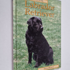 Diana Beckett : Labrador Retriever - pikkukuva 1
