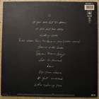 [LP] TERENCE TRENT D’ARBY: INTRODUCING THE HARDLINE… - pikkukuva 2