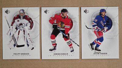 2020-21 SP Hockey (NHL)
