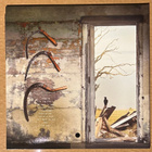 Steve Von Till : of I Should Fall To The Field - LP, Clear - pikkukuva 2