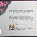 Blomqvist Leif : Rosor i norr - pikkukuva 2