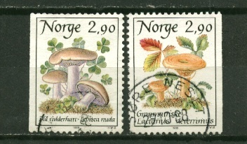 NORJA,  1988 Fa 1028-29, Ruokasienet