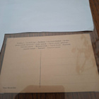 5 Irma Acket - pikkukuva 2