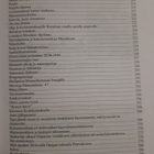 Hellsten Onni: Rintamasotilaana 16-vuotiaana - pikkukuva 4