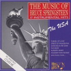 CD: The music of Bruce Springsteen, 17 instrumental hits - pikkukuva 1