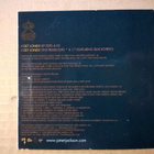 Janet Jackson - I Get Lonely CDS - pikkukuva 2