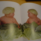 Anne Geddes - Tähän saakka - 1.painos - pikkukuva 2