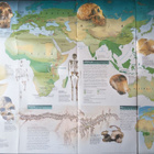 National Geographic vol.191 No.2 poster: Dawn of Humans - pikkukuva 3