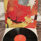 Trainer lp - pikkukuva 2